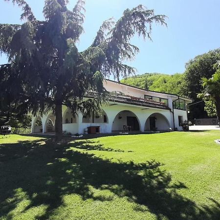 モンテフィオーレ・コンカ "Cara Pace" In Collina Per Famiglie Bed & Breakfast エクステリア 写真