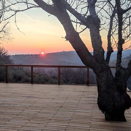 モンテフィオーレ・コンカ "Cara Pace" In Collina Per Famiglie Bed & Breakfast エクステリア 写真