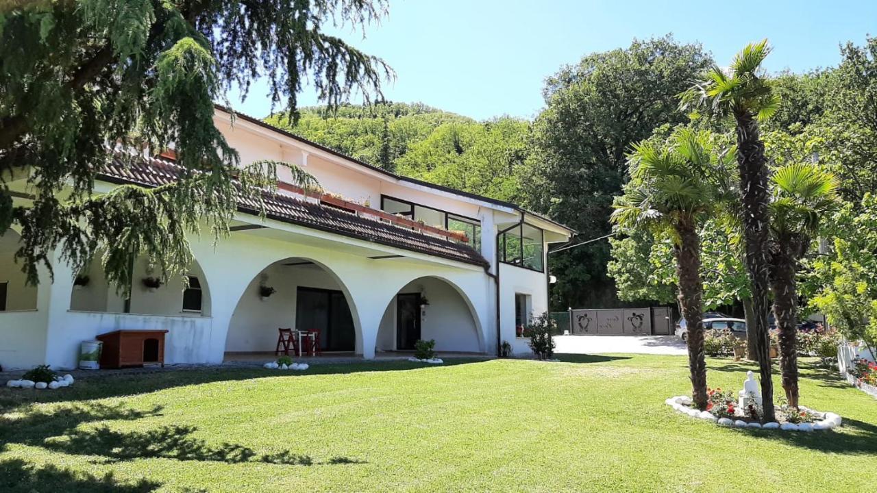 モンテフィオーレ・コンカ "Cara Pace" In Collina Per Famiglie Bed & Breakfast エクステリア 写真