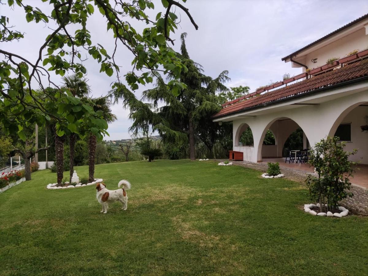モンテフィオーレ・コンカ "Cara Pace" In Collina Per Famiglie Bed & Breakfast エクステリア 写真